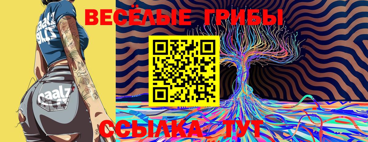 Галлюциногенные грибы Psilocybine cubensis Белгород
