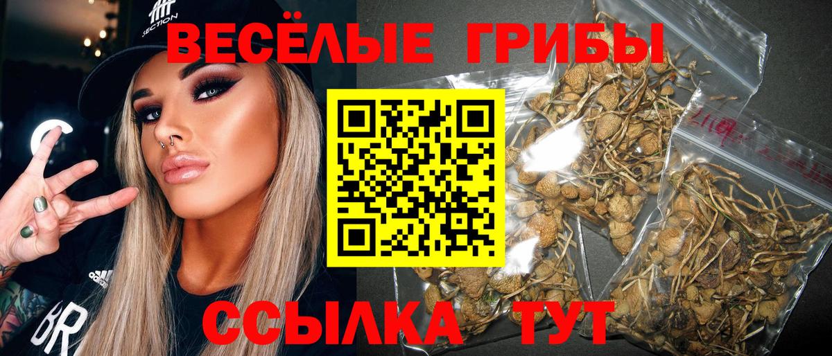 Белгород  Псилоцибиновые грибы мухоморы  Галлюциногенные грибы Psilocybe  Вход с VPN 